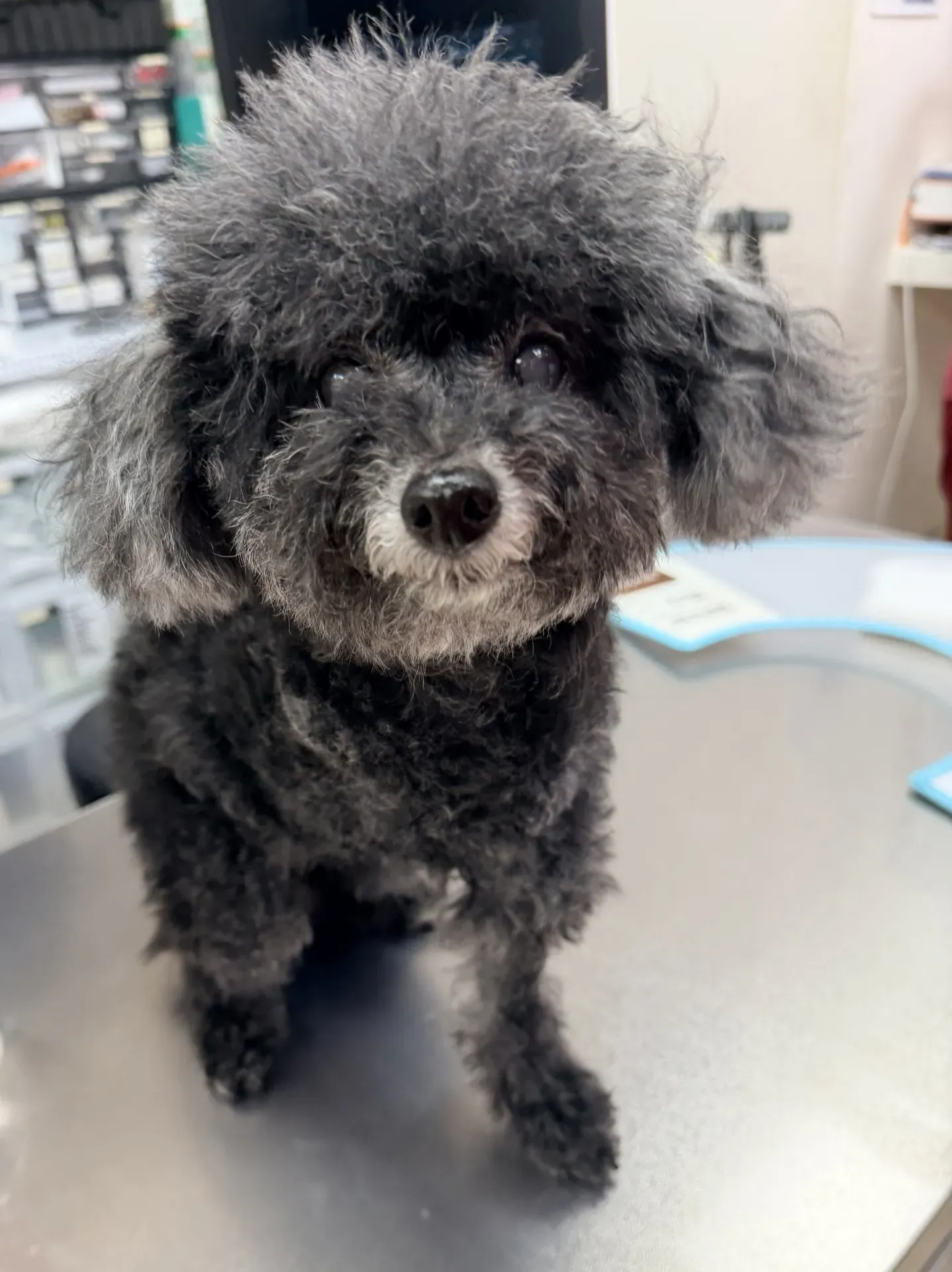 19d5bdca 4232 4b6e 910a Cc152727fb5c